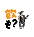 動く！デカ文字シュナウザー (修正版)（個別スタンプ：22）