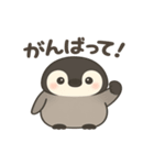 やさしいペンギンの日常スタンプ（個別スタンプ：11）