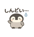 やさしいペンギンの日常スタンプ（個別スタンプ：14）