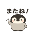やさしいペンギンの日常スタンプ（個別スタンプ：16）