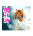 サーフ猫（個別スタンプ：5）