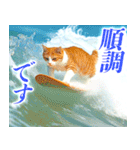 サーフ猫（個別スタンプ：7）
