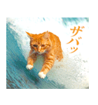 サーフ猫（個別スタンプ：15）