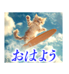 サーフ猫（個別スタンプ：21）