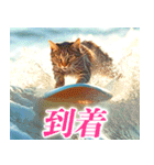 サーフ猫（個別スタンプ：23）
