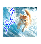 サーフ猫（個別スタンプ：25）