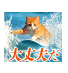 サーフ猫（個別スタンプ：26）