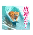 サーフ猫（個別スタンプ：30）