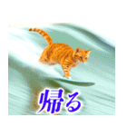サーフ猫（個別スタンプ：32）