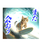 サーフ猫（個別スタンプ：37）