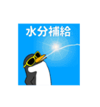 闇ペンギン【使用難易度★☆☆】夏3（個別スタンプ：11）