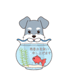 『シュナウザー』夏のごあいさつ（個別スタンプ：5）