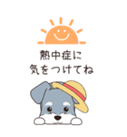 『シュナウザー』夏のごあいさつ（個別スタンプ：10）