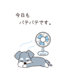『シュナウザー』夏のごあいさつ（個別スタンプ：14）
