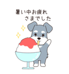 『シュナウザー』夏のごあいさつ（個別スタンプ：19）