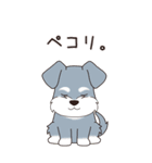『シュナウザー』夏のごあいさつ（個別スタンプ：20）