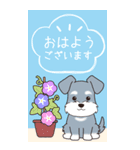 『シュナウザー』夏のごあいさつ（個別スタンプ：22）
