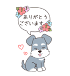 『シュナウザー』夏のごあいさつ（個別スタンプ：24）