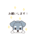 『シュナウザー』夏のごあいさつ（個別スタンプ：25）