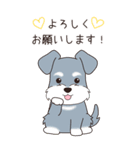 『シュナウザー』夏のごあいさつ（個別スタンプ：26）