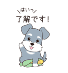 『シュナウザー』夏のごあいさつ（個別スタンプ：27）