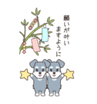 『シュナウザー』夏のごあいさつ（個別スタンプ：31）