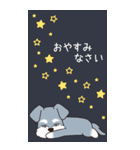 『シュナウザー』夏のごあいさつ（個別スタンプ：32）