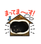 黒猫ゆきちゃんスタンプ（個別スタンプ：2）