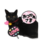 黒猫ゆきちゃんスタンプ（個別スタンプ：3）