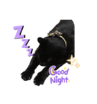 黒猫ゆきちゃんスタンプ（個別スタンプ：4）