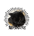 黒猫ゆきちゃんスタンプ（個別スタンプ：7）