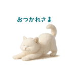 毎日使えるふわもこ白猫ぬいぐるみスタンプ（個別スタンプ：6）