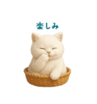毎日使えるふわもこ白猫ぬいぐるみスタンプ（個別スタンプ：10）