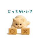 毎日使えるふわもこ白猫ぬいぐるみスタンプ（個別スタンプ：19）