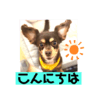 アトムの可愛い素顔（個別スタンプ：1）