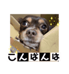 アトムの可愛い素顔（個別スタンプ：2）
