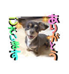 アトムの可愛い素顔（個別スタンプ：3）