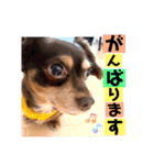 アトムの可愛い素顔（個別スタンプ：4）