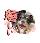 アトムの可愛い素顔（個別スタンプ：6）