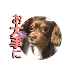 アトムの可愛い素顔（個別スタンプ：8）