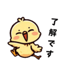 [了解です専用]ピヨピヨ（個別スタンプ：5）