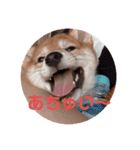 もかtoらて（個別スタンプ：11）