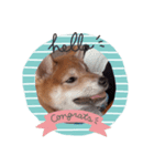 もかtoらて（個別スタンプ：14）