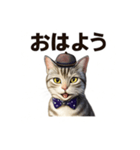 アメリカンショートヘアcat（個別スタンプ：1）