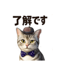 アメリカンショートヘアcat（個別スタンプ：3）