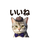 アメリカンショートヘアcat（個別スタンプ：5）