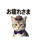 アメリカンショートヘアcat（個別スタンプ：6）