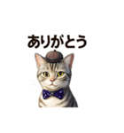 アメリカンショートヘアcat（個別スタンプ：7）