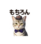 アメリカンショートヘアcat（個別スタンプ：9）