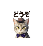 アメリカンショートヘアcat（個別スタンプ：10）